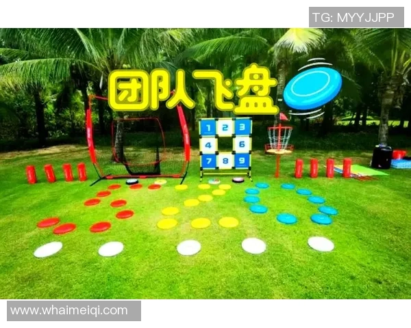 飞盘纪实:深圳飞盘队如何在挑战中实现自我转型与成长