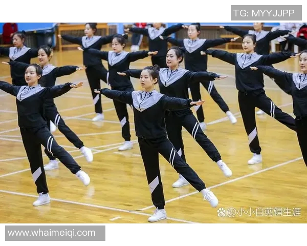 体操运动的魅力与挑战:从基础训练到竞技赛场的全面探索