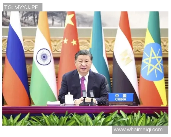 全球政治格局深刻变动 各国领导人积极应对新挑战与合作机遇