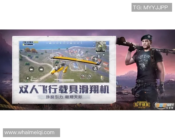 和平精英战场上的EDG团队协作策略分析与实践探讨