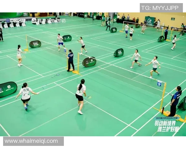 深圳羽毛球队中路突破的成功与不足分析及未来发展方向探讨 深圳羽毛球队中路突破的成功与不足分析及未来发展方向探讨