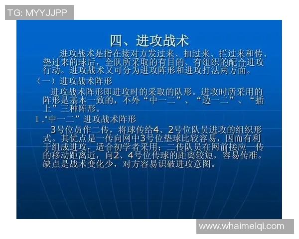 西安排球队控制打法的深度分析与战术解读 西安排球队控制打法的深度分析与战术解读