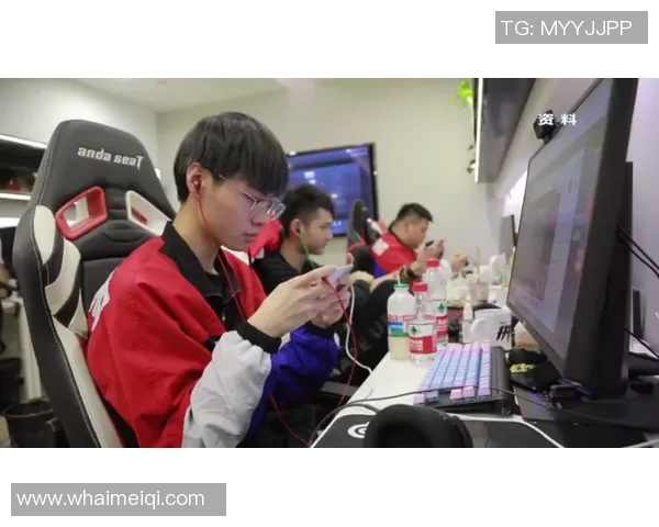 和平精英战术解析：深入探讨EDG区域防守策略与执行细节