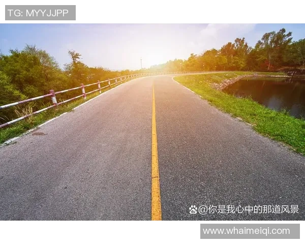 张芳的网球人生深度对话探索她的成长与奋斗之路