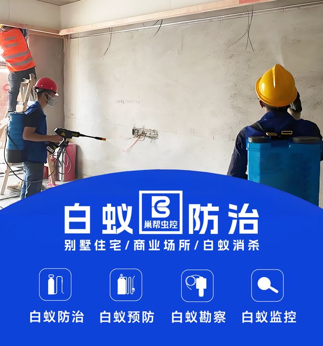 博鱼官方网站家庭灭白蚁：巢帮家庭白蚁防治别墅室第新建装修白蚁防备管理(图1)